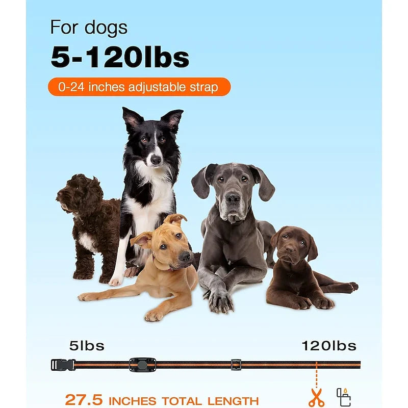 Collare per addestramento cani AstraPaw 1000m, impermeabile