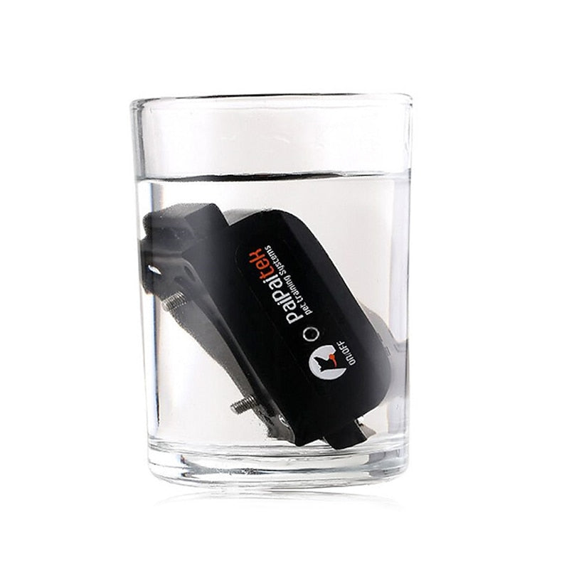 Collare per addestramento cani impermeabile ApexPaw 1000m ricaricabile