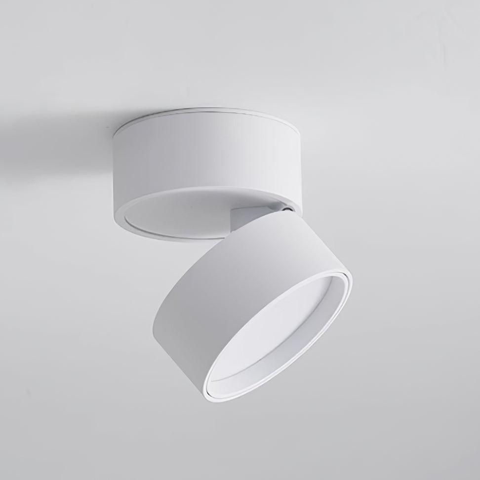 Savvina Surface LED Ceiling Light – Modern Adjustable Ceiling Lamp for Indoor Use