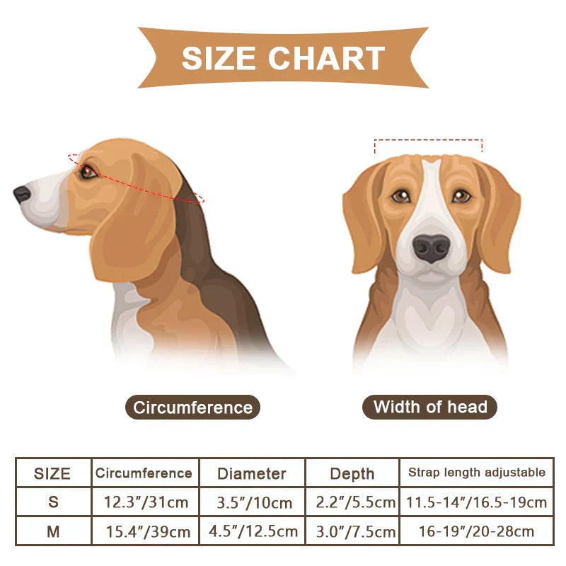 קסדת מוטו ומשקפי מגן אופנתיים PawRider לכלבים בבטחה