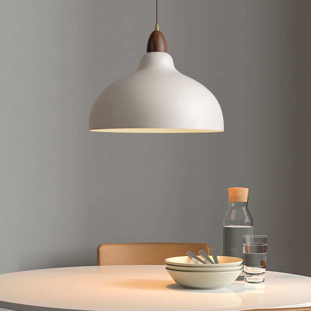 Liora Nordic Wood And White Painted Metal Pendant Light