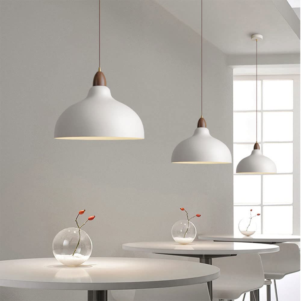 Liora Nordic Wood And White Painted Metal Pendant Light