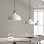 Liora Nordic Wood And White Painted Metal Pendant Light