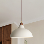 Liora Nordic Wood And White Painted Metal Pendant Light