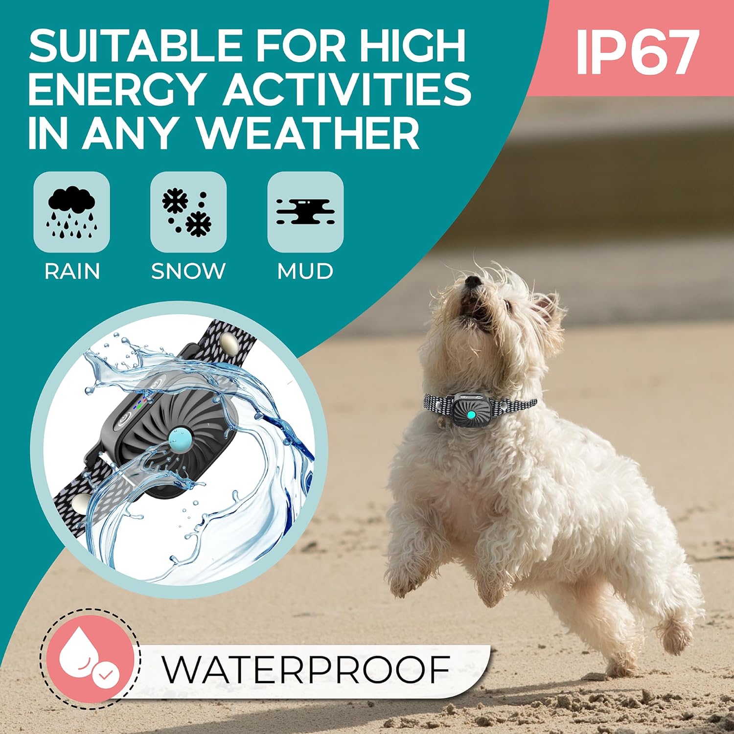 קולר PawSerene BarkGuard לכלבים קטנים הרתעה עדינה