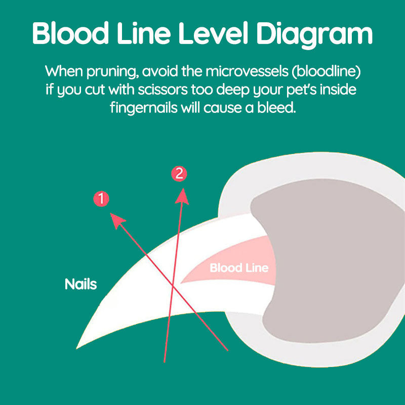 MaxGuard Pro Tagliaunghie per Cani con Sensori Intelligenti Rapidi