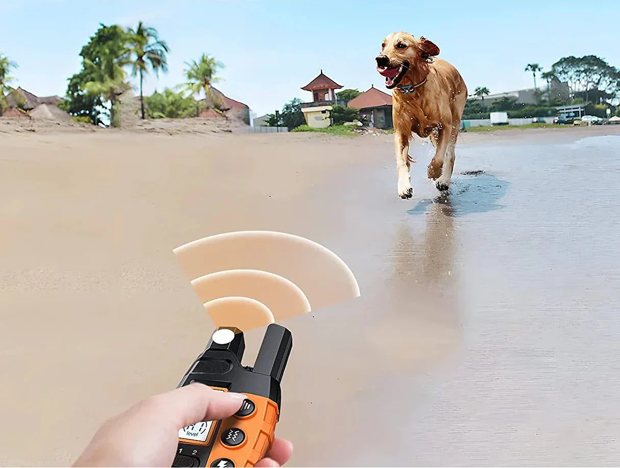 קולר אימון כלבים מרחוק AstraPaw 1000m, עמיד למים