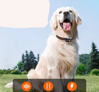 Collare per addestramento cani AstraPaw 1000m, impermeabile