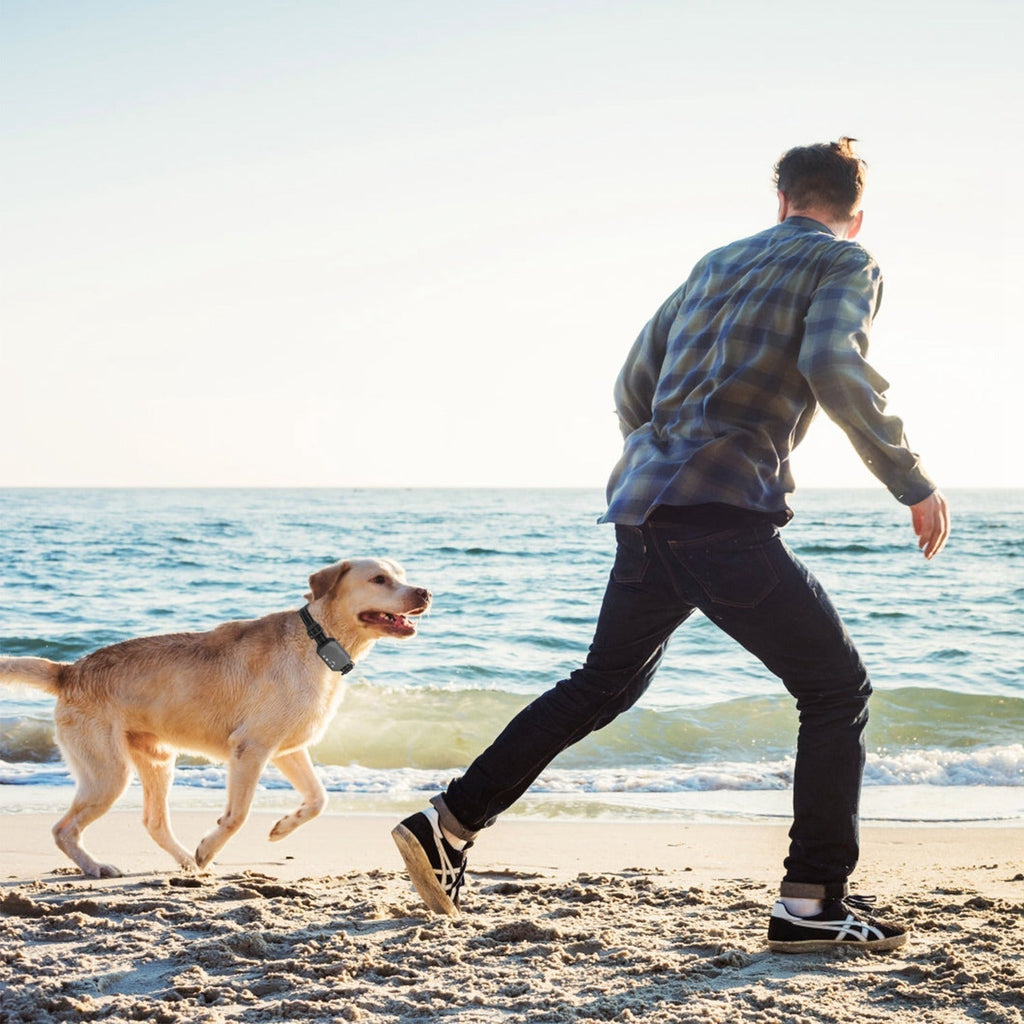 גדר אלחוטית לכלבים PawSafe GPS Pro לטווח 30 עד 1000 מטרים