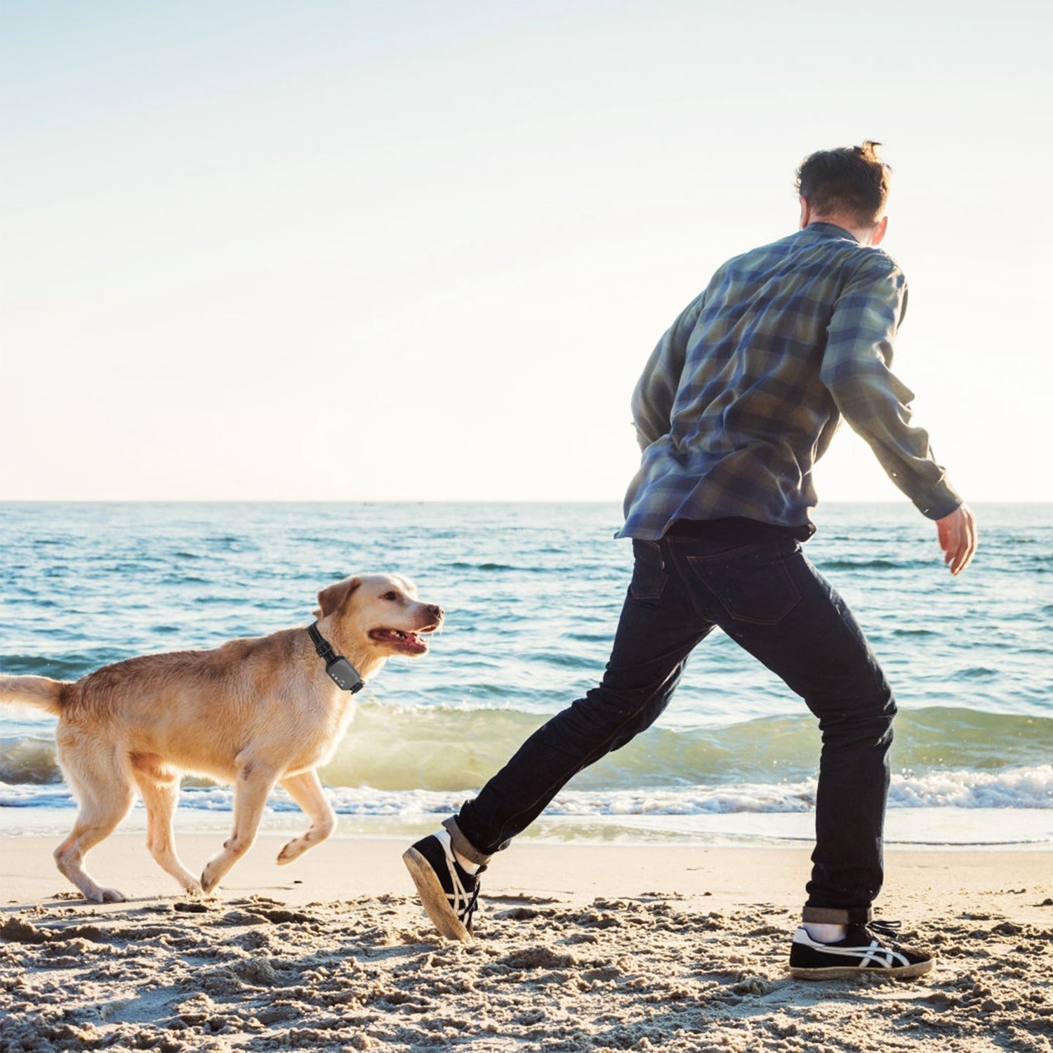 גדר אלחוטית לכלבים PawSafe GPS Pro לטווח 30 עד 1000 מטרים