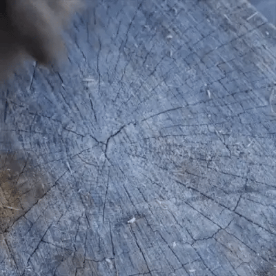 TimberSwift SplitPro מפצל גזעים לפרויקטים של עבודות עץ