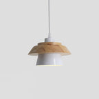 Veridia Stone Wood Pendant Light For Living Spaces