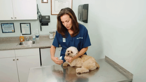 MaxGuard Pro Tagliaunghie per Cani con Sensori Intelligenti Rapidi