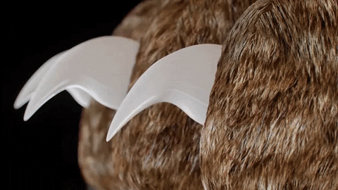 MaxGuard Pro Tagliaunghie per Cani con Sensori Intelligenti Rapidi