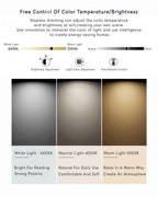 Walnut Modern Ceiling Lamp With Full Spectrum Lighting