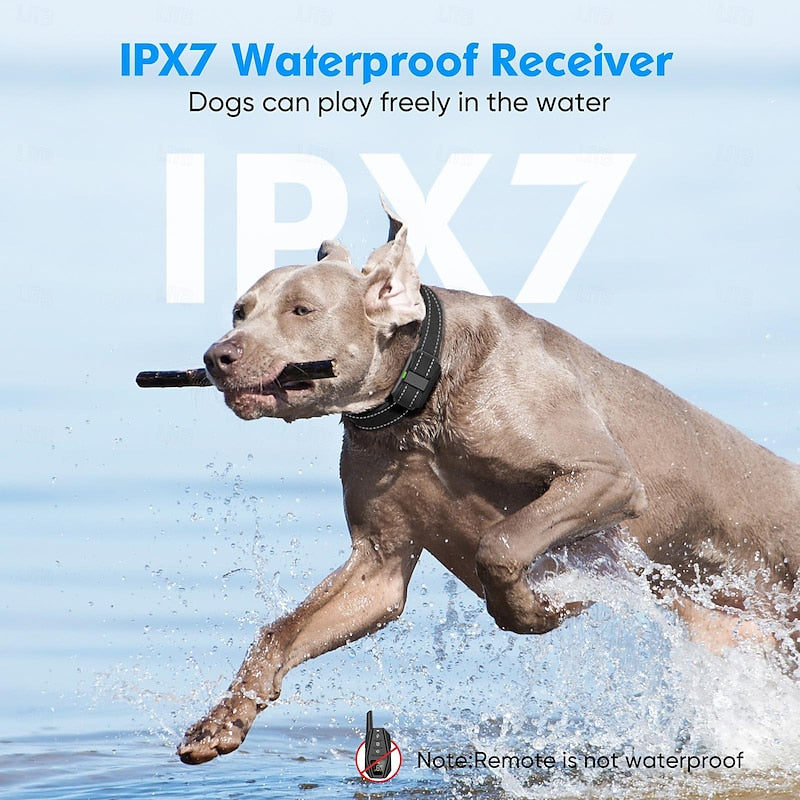 קולר אימון מרחוק PulseTrack Pro עם עמידות למים IPX7