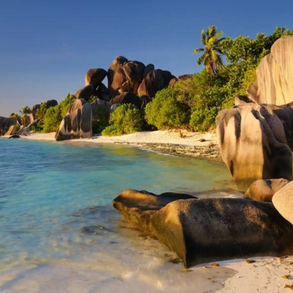 Occhiali da sole AeroNova Viper con lenti polarizzate UV400