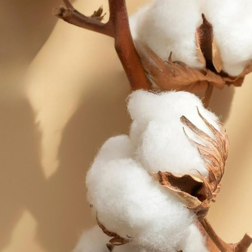 Set di biancheria da letto ricamato in cotone satinato LumaLux 4 pezzi